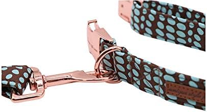 Unique Stlye Paws Strong Dog Leash with Soft & Comfortabel Handle Multipurpose Leashes for Small Medium Large Dogs and Cats