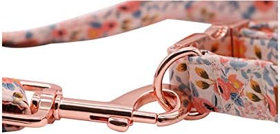 Unique Stlye Paws Strong Dog Leash with Soft & Comfortabel Handle Multipurpose Leashes for Small Medium Large Dogs and Cats