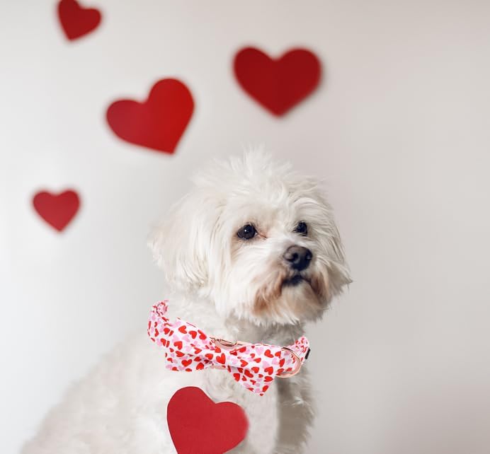 Unique Style Paws Valentiene's Day Dog Collar with Bow Heart Print Cotton Dog Collars Collar for Small Medium Large Dogs New