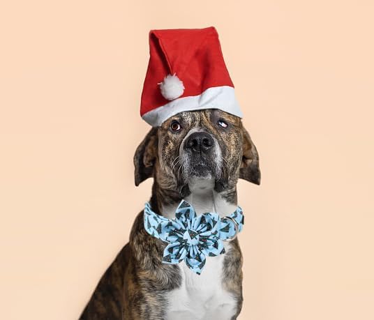 Unique Style Paws Christmas Day Dog Collar with Flower Bow Christmas Tree Cotton Puppy Collars for Small Medium Large Dogs