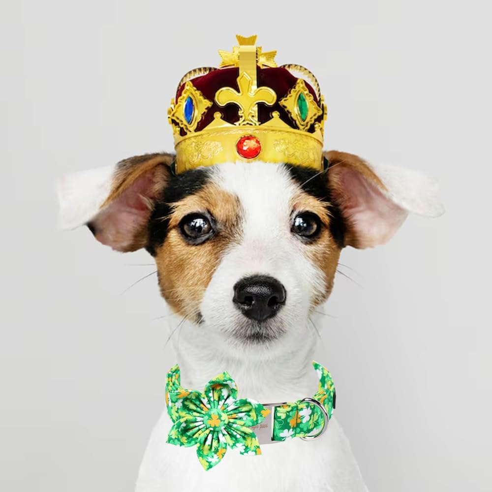 Unique style paws St. Patrick's Day Dog Collar with Bow Clover Collar with Flower for Small Medium Large Boys Girls Dogs