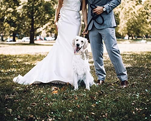 Unique Style Paws Silk Champagne Color Adjustable Wedding Bow Tie Collar for X-Large Dogs