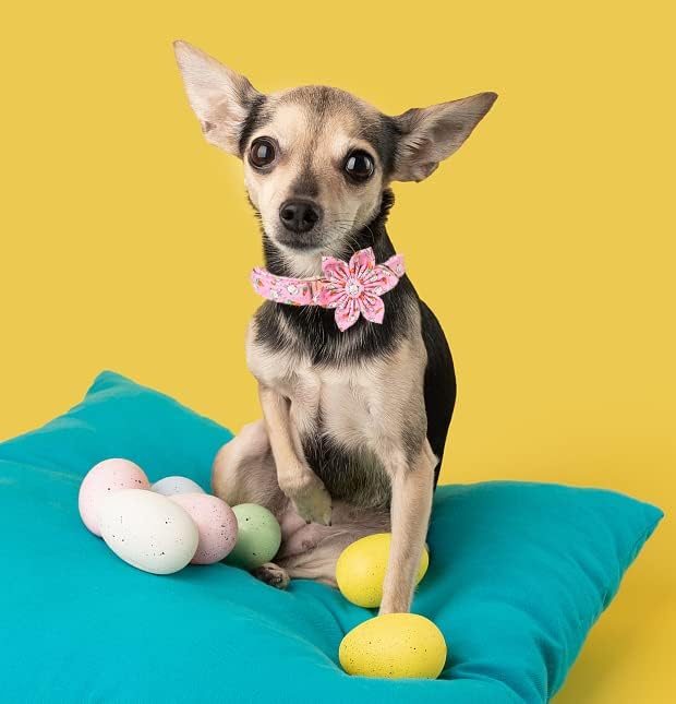 Unique style paws Easter Dog Collar with Flower Tie Rabbit & Carrot Puppy Collar for Small Medium Large Boys Girls