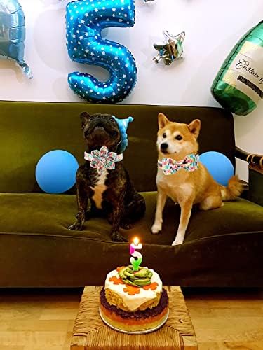Unique style paws Dog Collar with Flower, Adjustable Birthday Dog Collar Flower Pattern, Durable Pet Collar for Small Medium Large Dogs