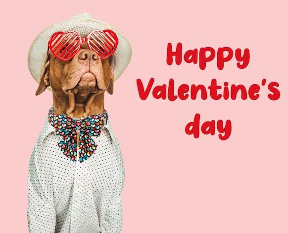 Unique Style Paws Valentine's Dog Collar with Bow Colorful Heart Love Dog Collars for Small Medium Large Dog New