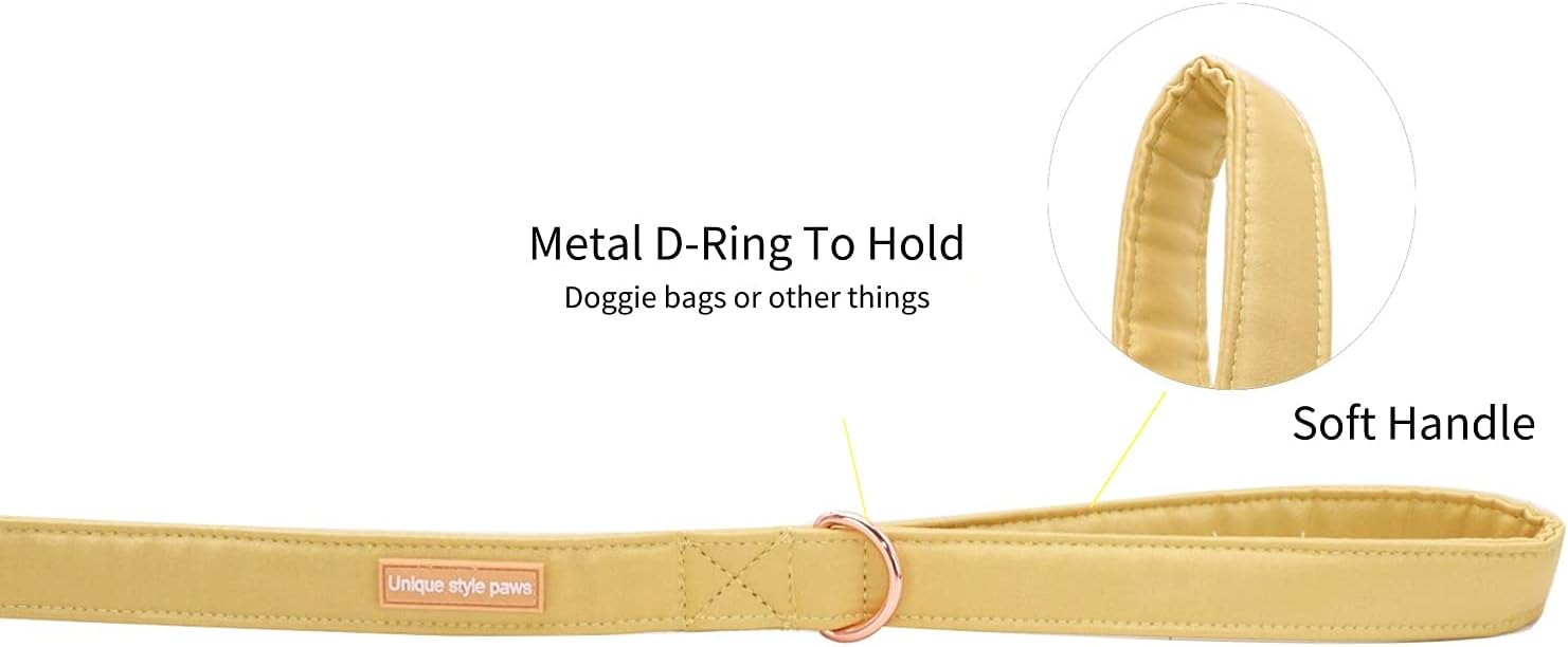 Unique style paws Silk Dog Leash Durable Dog Leashes with Welded D-Ring Comfortable Handle for Small Medium Large Dogs