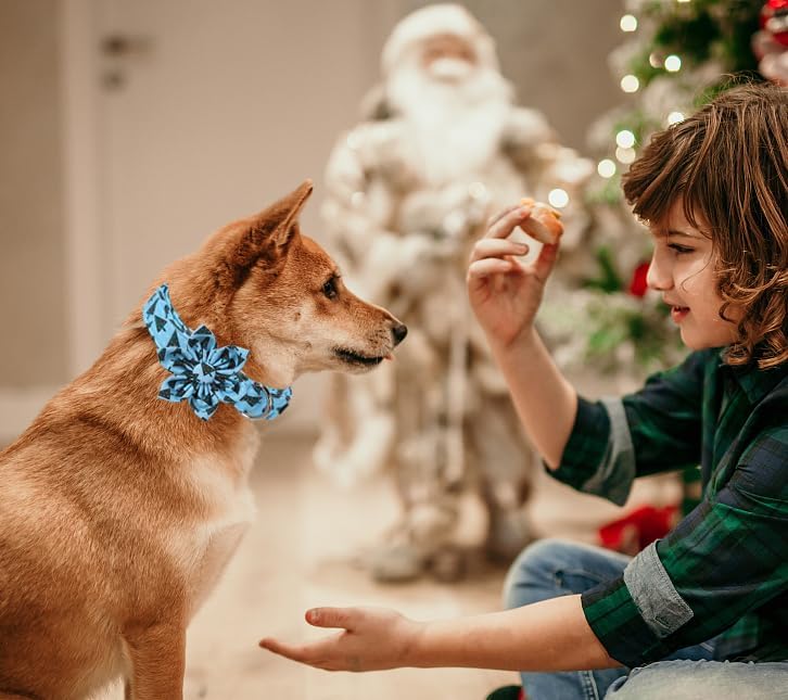 Unique Style Paws Christmas Day Dog Collar with Flower Bow Christmas Tree Cotton Puppy Collars for Small Medium Large Dogs