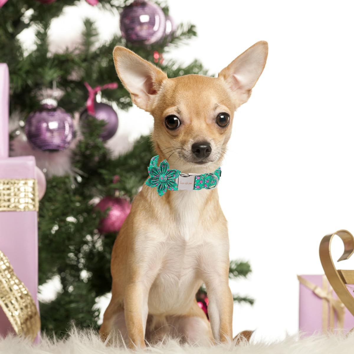 Unique style paws Cartoon Dog Collar with Bow Spring Summer Puppy Collar with Flower for Small Medium Large Boys Girls Dogs