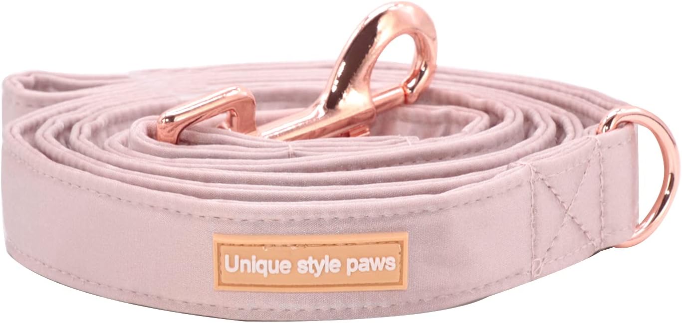 Unique style paws Silk Dog Leash Durable Dog Leashes with Welded D-Ring Comfortable Handle for Small Medium Large Dogs Z-Princess