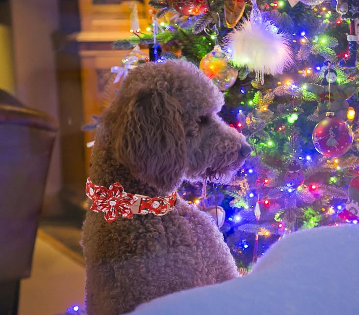 Unique Style Paws Christmas Day Dog Collar with Flower Bow Christmas Elk Man Cotton Puppy Collars for Small Medium Large Dogs