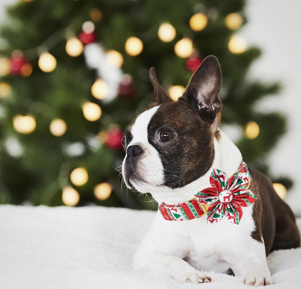 Unique Style Paws Christmas Day Dog Collar with Flower Bow Christmas Tree Cotton Puppy Collars for Small Medium Large Dogs