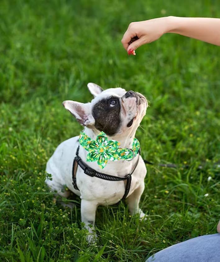 Unique style paws St. Patrick's Day Dog Collar with Bow Clover Collar with Flower for Small Medium Large Boys Girls Dogs