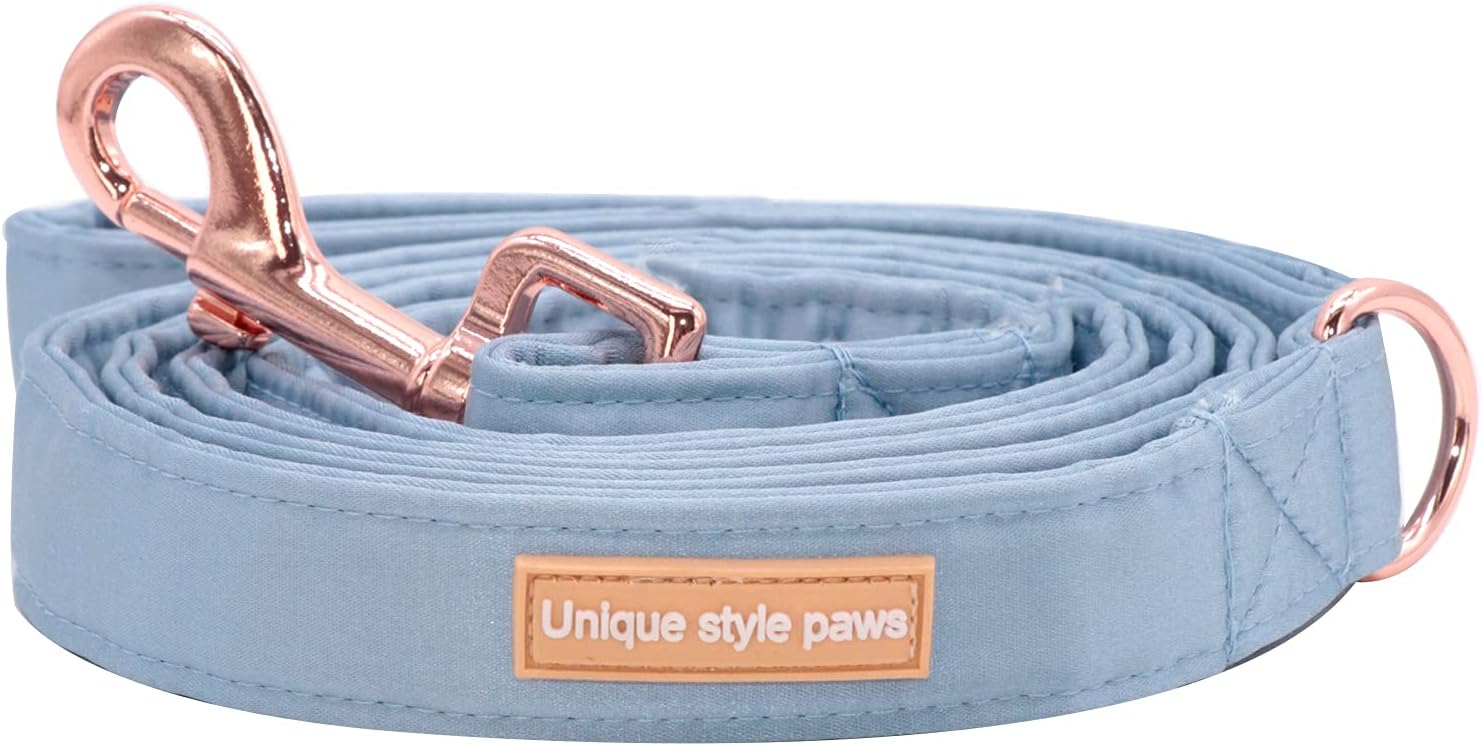Unique style paws Silk Dog Leash Durable Dog Leashes with Welded D-Ring Comfortable Handle for Small Medium Large Dogs Z-Sky