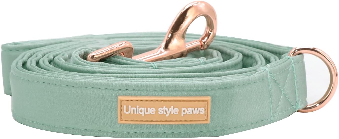 Unique style paws Silk Dog Leash Durable Dog Leashes with Welded D-Ring Comfortable Handle for Small Medium Large Dogs