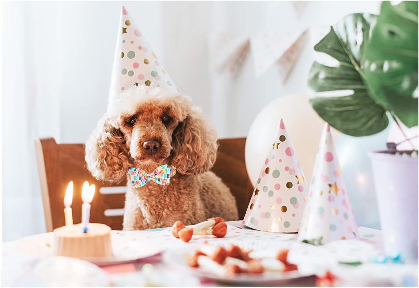 Unqiue Style Paws Birthday Dog Collar, Soft and Cute Dog Bow Tie, Durable Pet Collar with Bow Adjustable Bow Dog Collar for X-Large Dogs