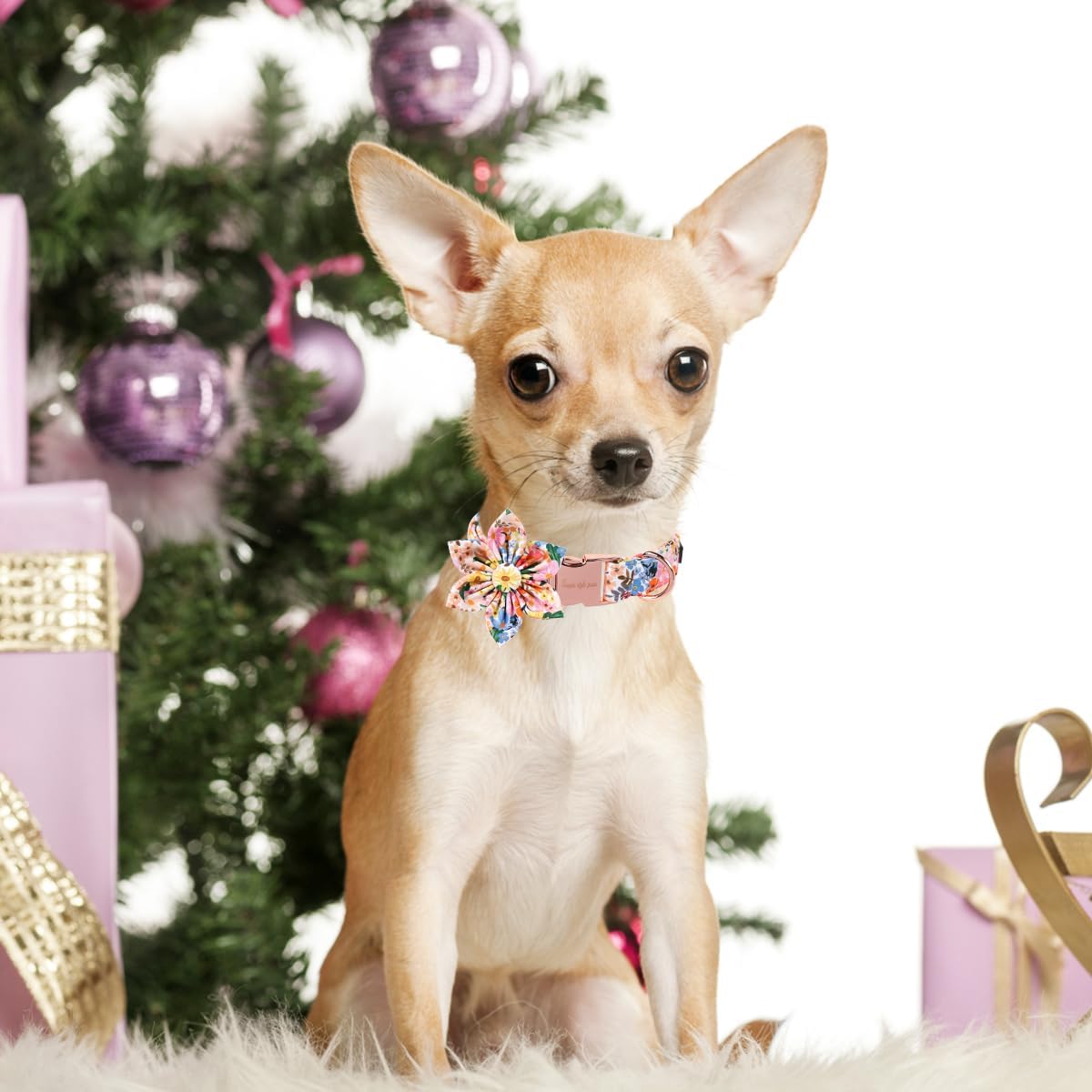Unique style paws Cartoon Dog Collar with Bow Spring Summer Puppy Collar with Flower for Small Medium Large Boys Girls Dogs