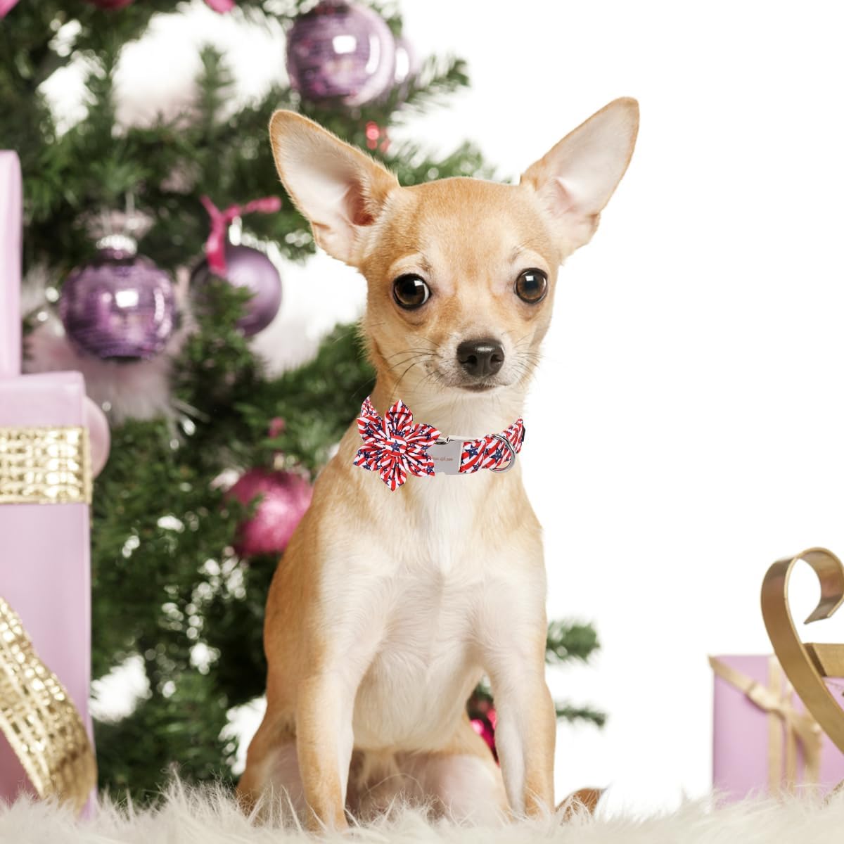 Unique style paws Independence Day Dog Collar with Flower Bow Striped Star Puppy Collar for Small Medium Large Boys Girls Dogs