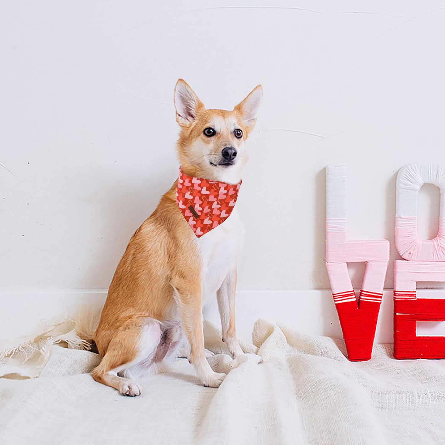Unique Style Paws Dog Valentine's Bandanas 2Pcs Washable Cotton Triangle Painting Love Heart Puppy Scarfs for Small Medium Large Dogs and Cats