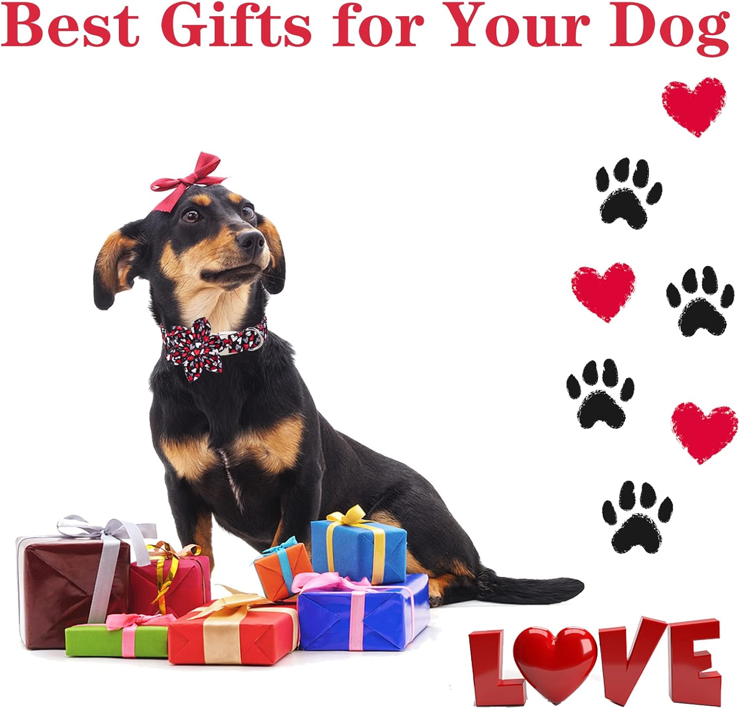 Unique style paws Valentine's Day Dog Collar with Flower Tie Black & Red Heart Puppy Collar Best Gothic Style Gift for Small Medium Large Boys Girls
