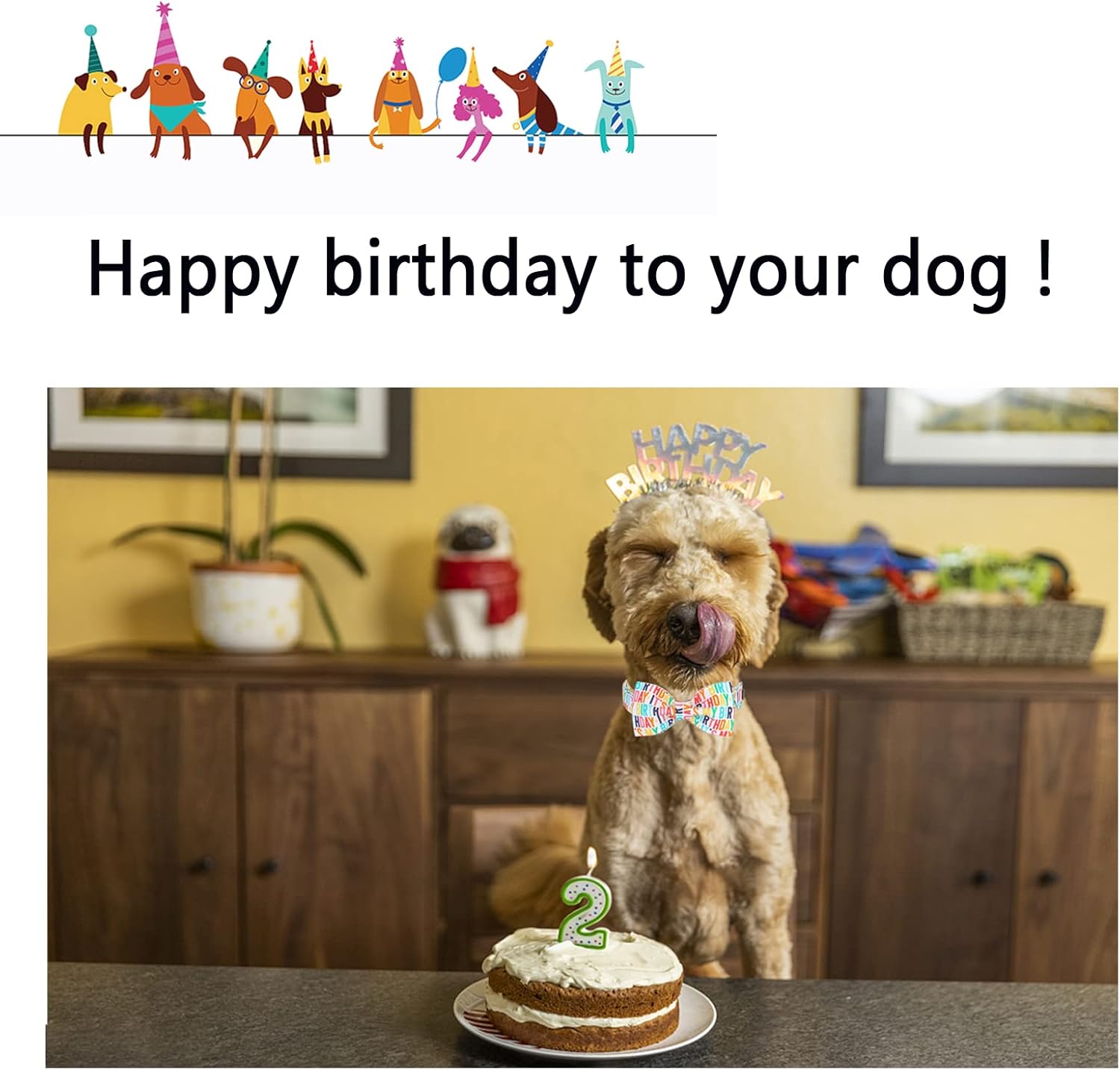 Unqiue Style Paws Birthday Dog Collar, Soft and Cute Dog Bow Tie, Durable Pet Collar with Bow Adjustable Bow Dog Collar for X-Large Dogs