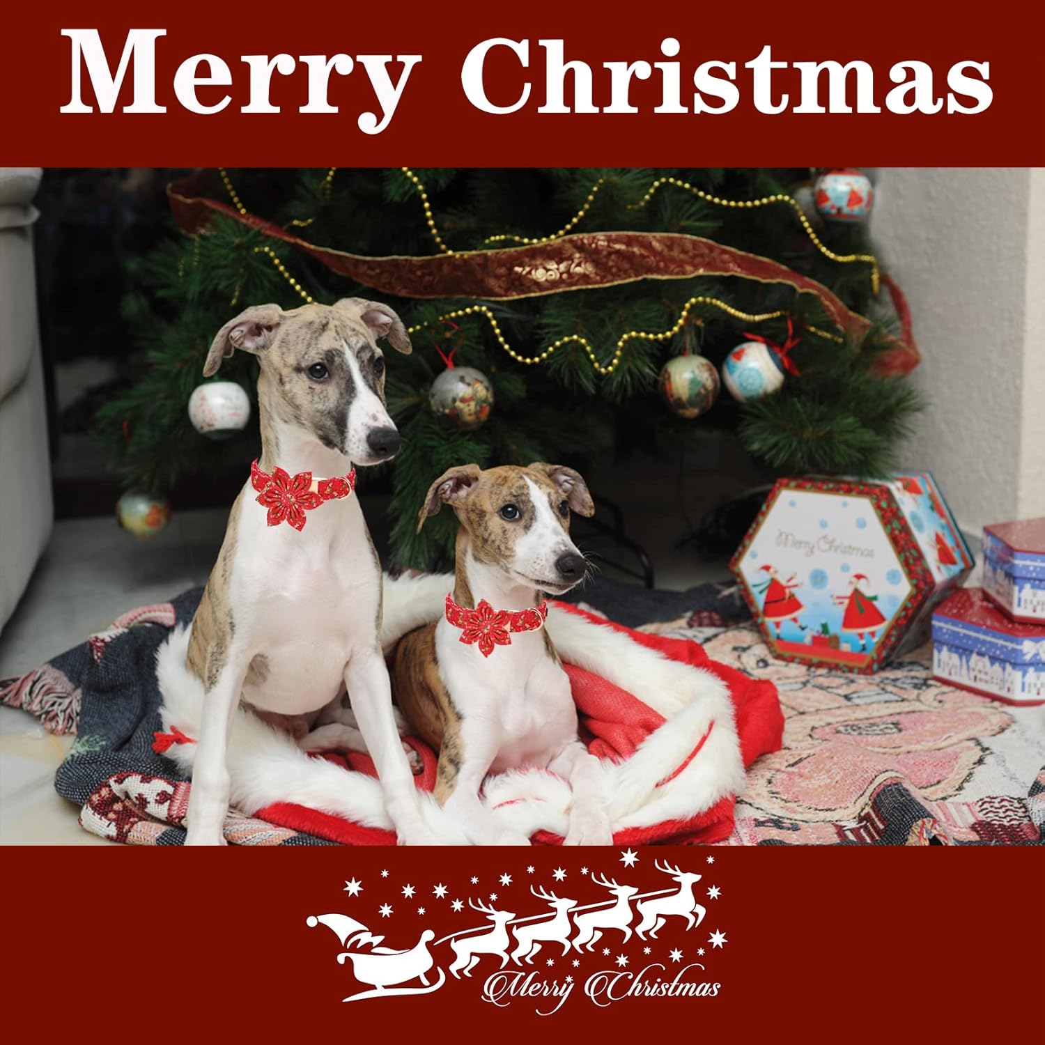 Unique style paws Cotton Dog Collar with Bow Puppy Collar with Red White Round Dot for Small Medium Large Boys Girls Dogs