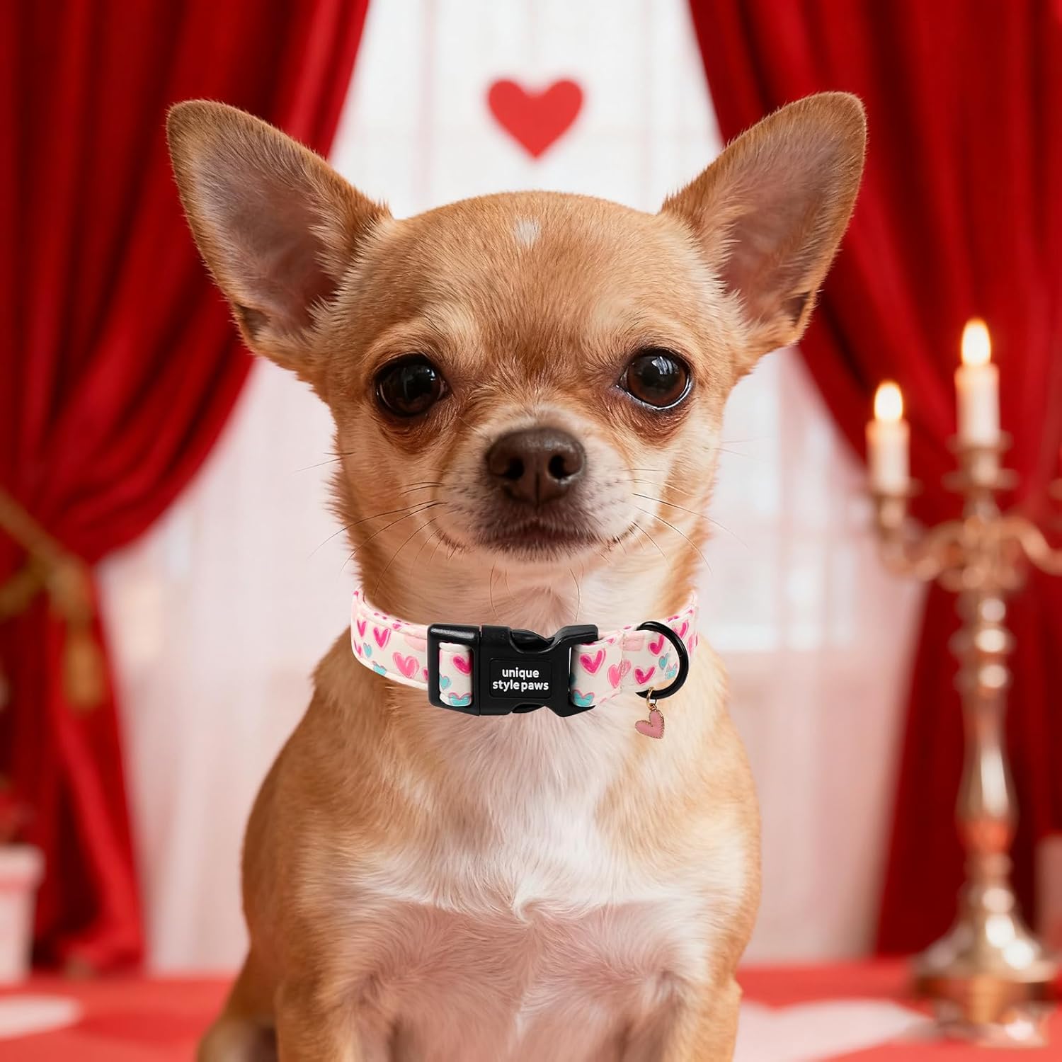 Unique Style Paws Valentine Dog Collar Plastic Buckle with Pendant Beige Colorful Heart Cotton Puppy Collars for Small Medium Large Dogs