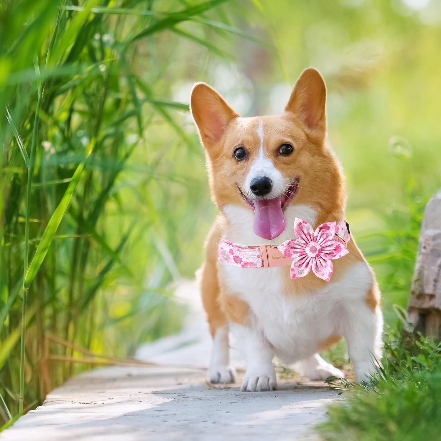 Unique Style Paws Summer Dog Collar with Floral Bow,Pink Bow Tie Puppy Collar,Flower Pattern Dog Bow Collar for Small,Medium,Large Dogs&Cats