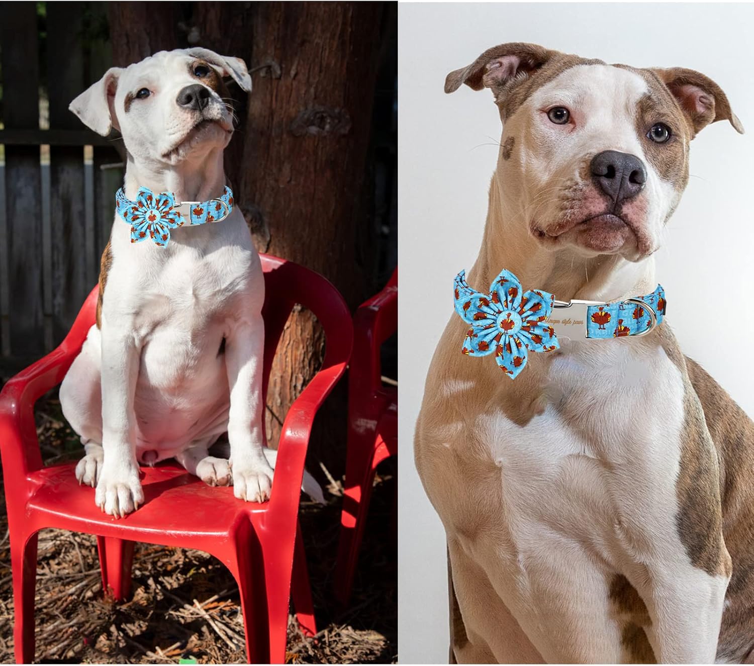 Unique style paws Thanksgiving Dog Collar with Flower Tie Autumn Turkey Theme Puppy Collar for Small Medium Large Dogs