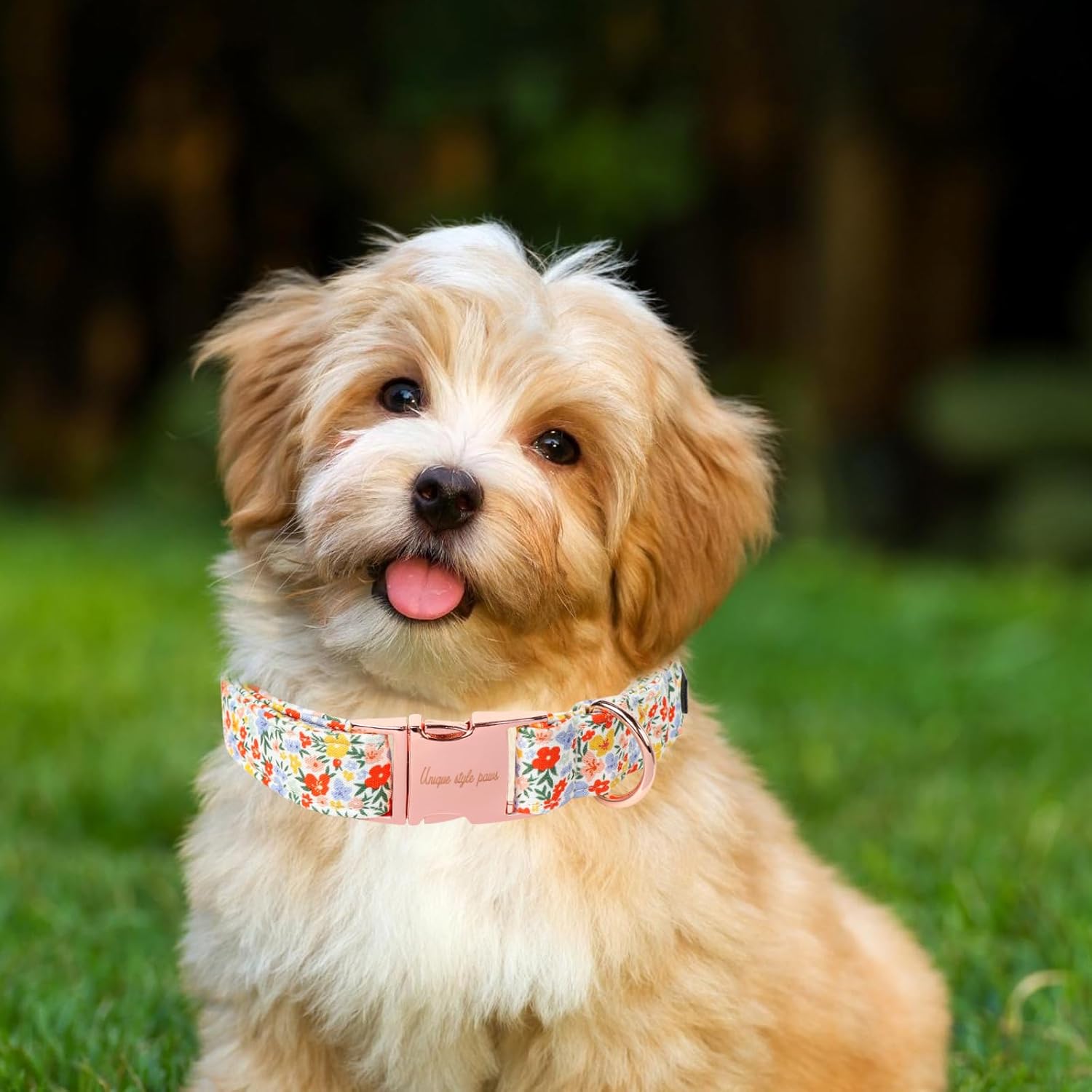 Unique Style Paws Summer Dog Collar, Cute Girl Dog Collar with Flower Pattern, Comfy&Breathable Puppy Collar for Dog,Cats Gifts