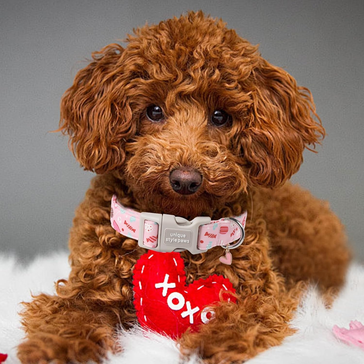 Unique Style Paws Valentine's Dog Collar Heart Love Collar for Dog Cotton Plastic Buckle Dog Collars,Adjustable Valentine Candy Lollipop Heart Puppy Collar with Cute Love Pendant