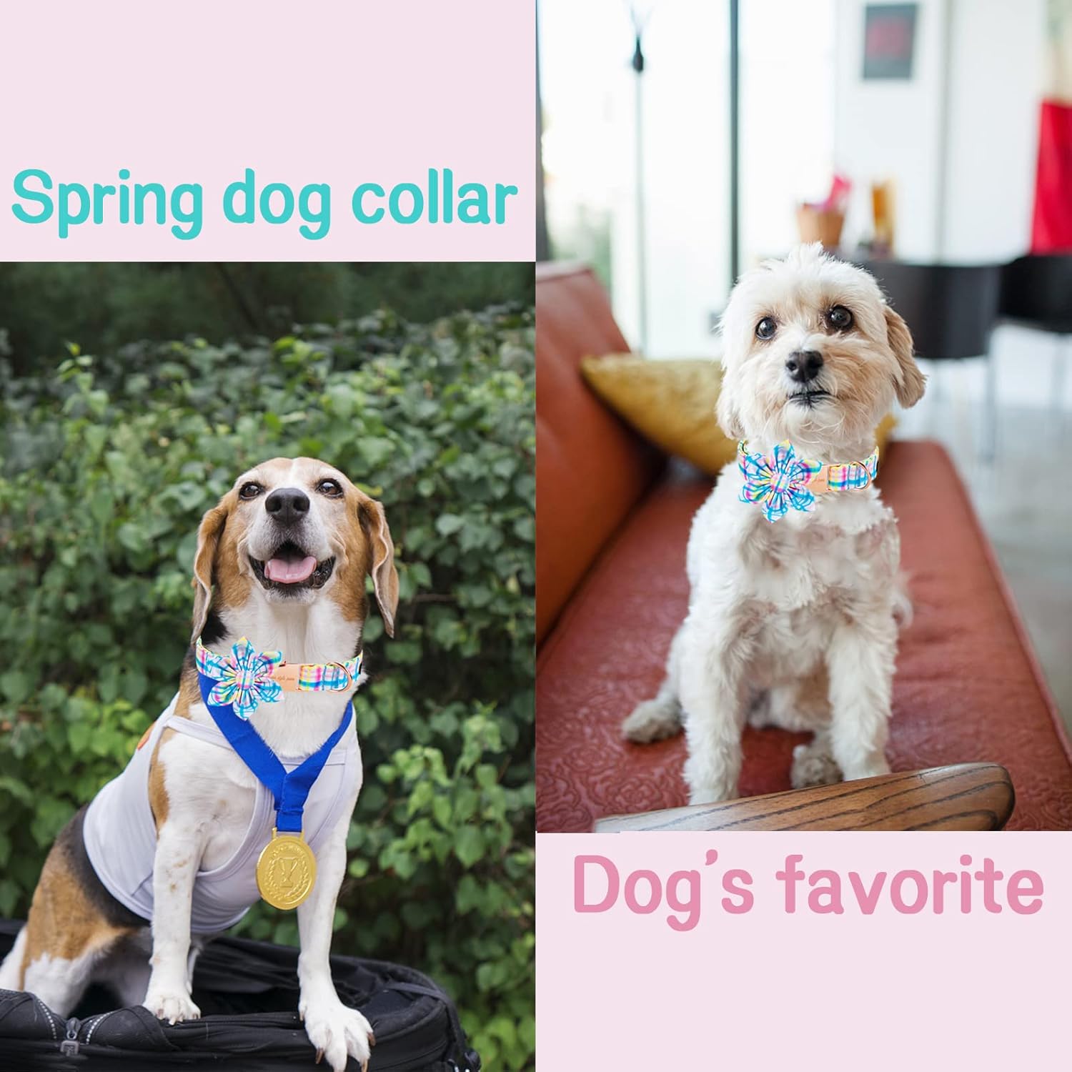 Unique style paws Easter Day Dog Collar with Flower Tie Blue Pink Grid Puppy Collar for Small Medium Large Boys Girls