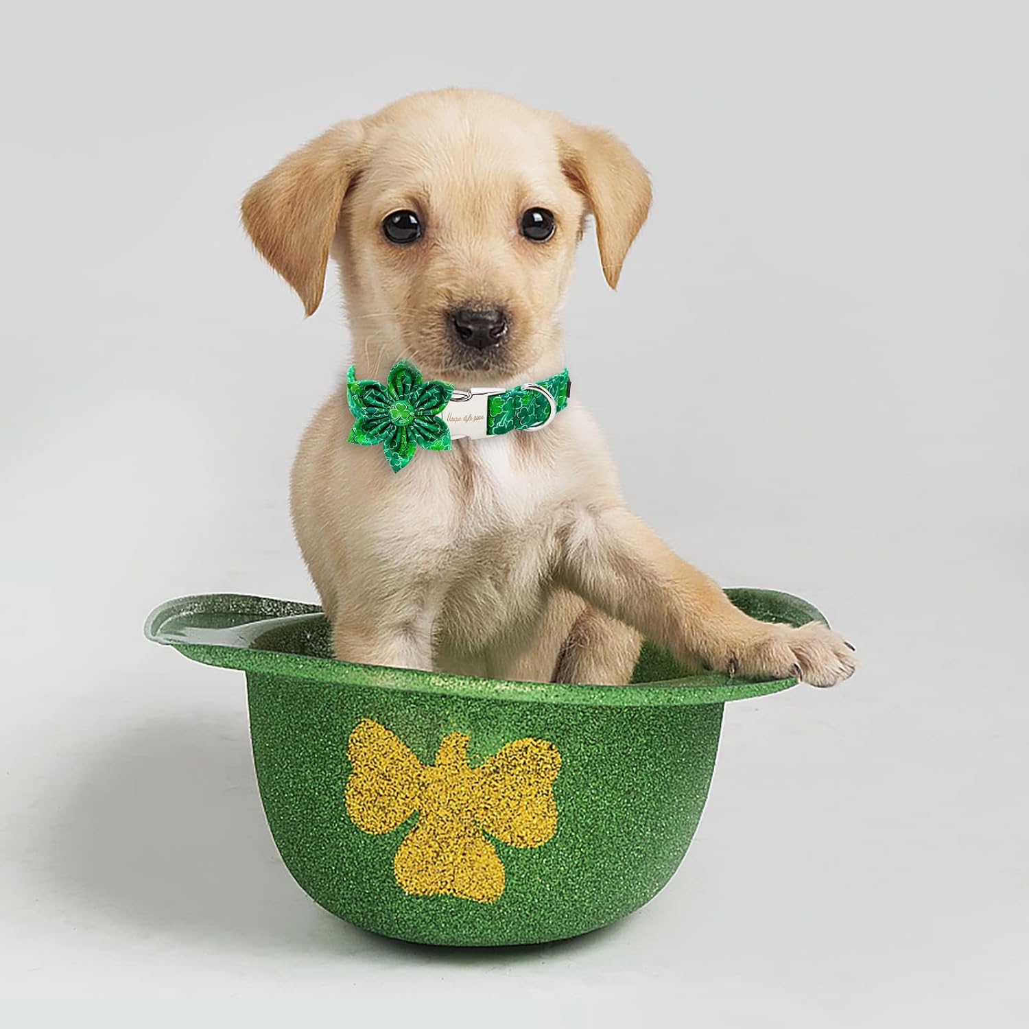 Unique style paws St. Patrick's Day Dog Collar with Flower Green Clover Pet Collar for Small Medium Large Boys Girls Dogs
