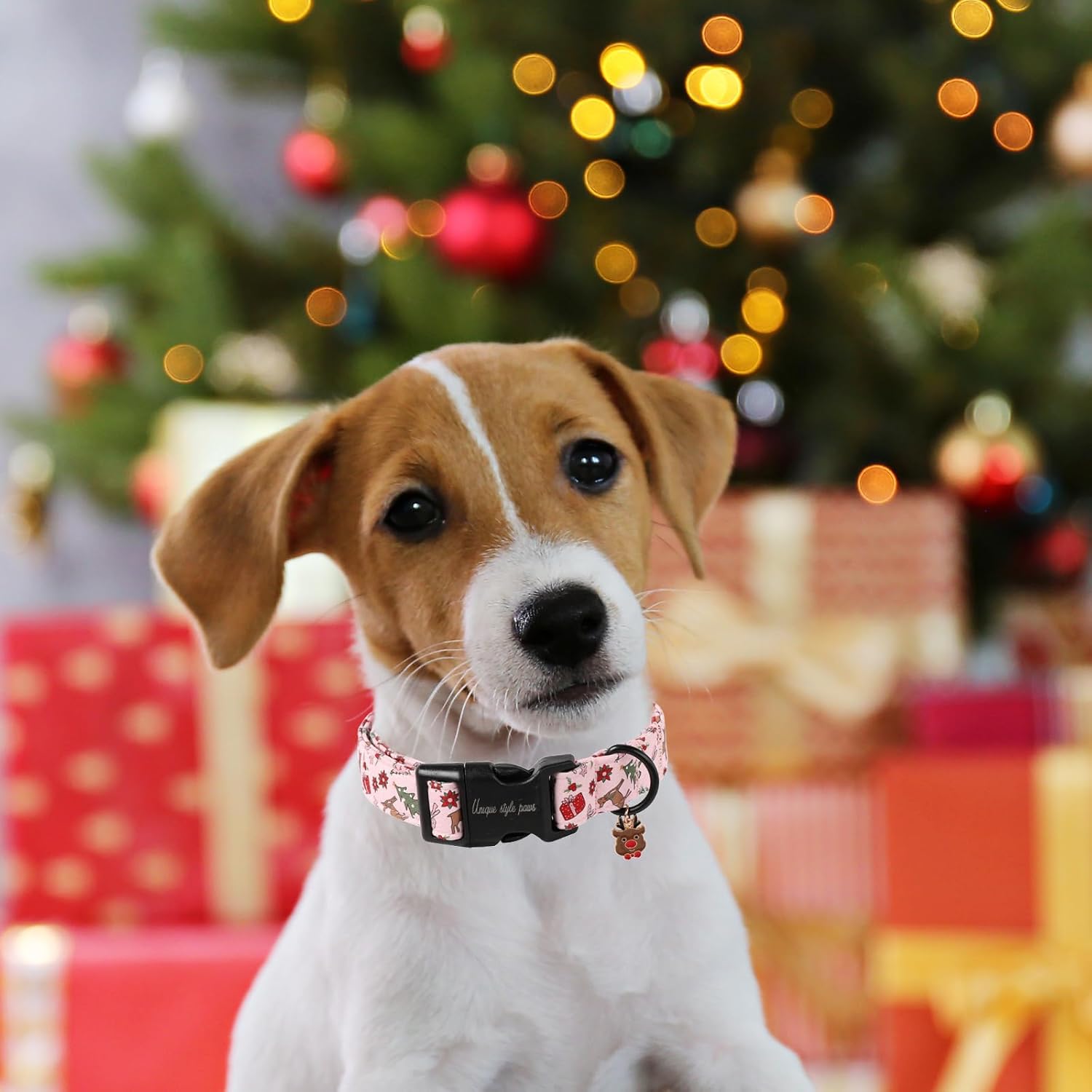 Christmas Dog Collar, Unique Style Paws Pink Dog Collar for Christmas Comfortable Pet Collar with Lightweight Plastic Buckle for Holiday, Fancy Dog Gift