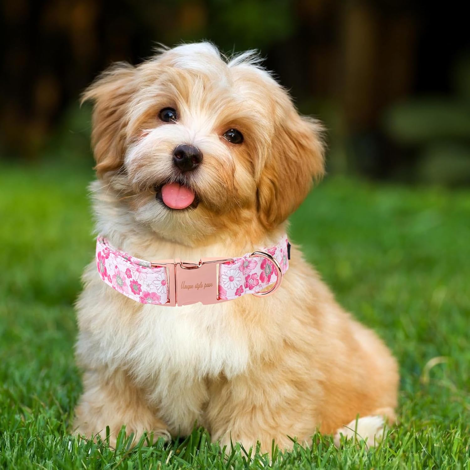 Unique Style Paws Summer Dog Collar, Cute Girl Dog Collar with Flower Pattern, Comfy&Breathable Puppy Collar for Dog,Cats Gifts