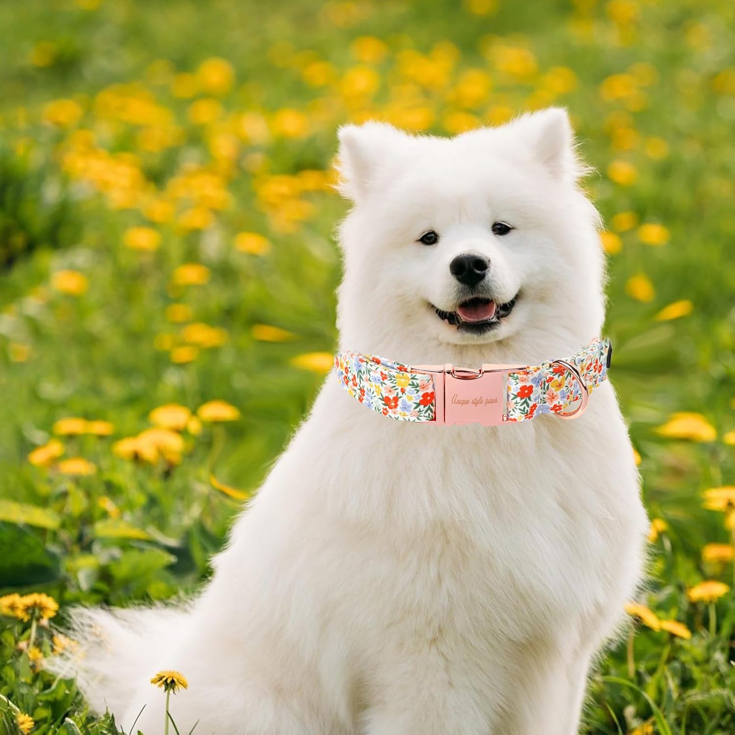 Unique Style Paws Summer Dog Collar, Cute Girl Dog Collar with Flower Pattern, Comfy&Breathable Puppy Collar for Dog,Cats Gifts