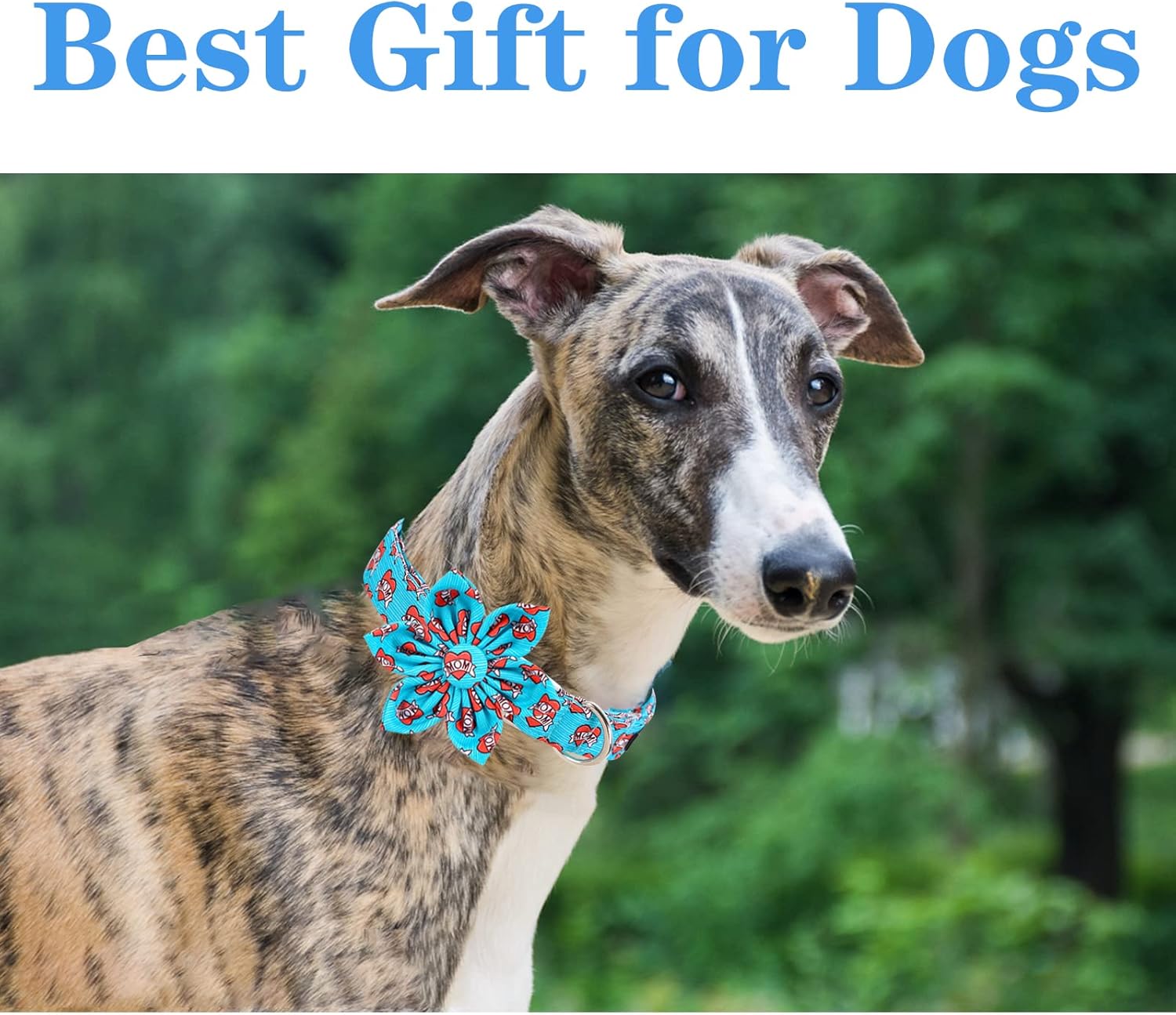 Unique style paws Valentine's Day Dog Collar with Flower Tie Blue Heart Puppy Collar Best Gift for Small Medium Large Boys Girls