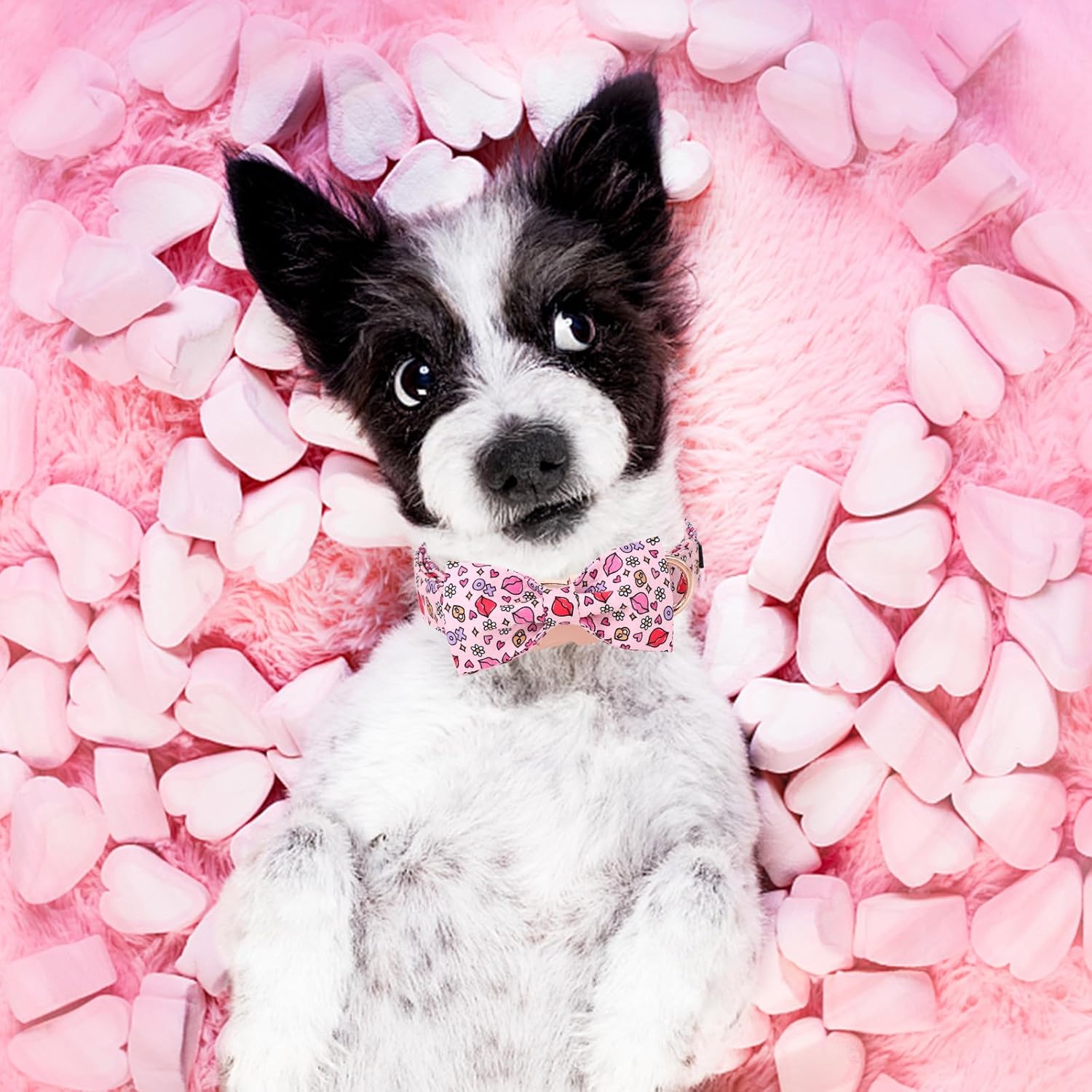 Unique style paws Valentine's Day Dog Collar with Bow Tie XO Red Lips Puppy Collar Best Gift for Small Medium Large Boys Girls-L