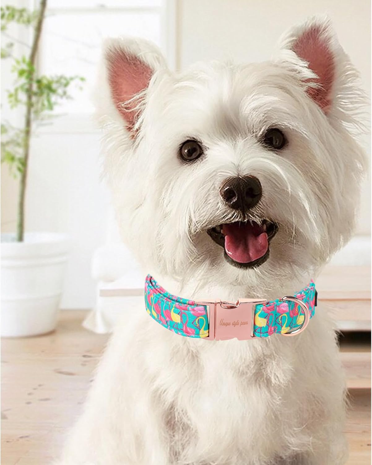 Cute Flamingo Summer Dog Collar, Unique Style Paws Green Pet Collar Adjustable Girl Dog Collar with Metal Buckle for Small Medium Large Dogs