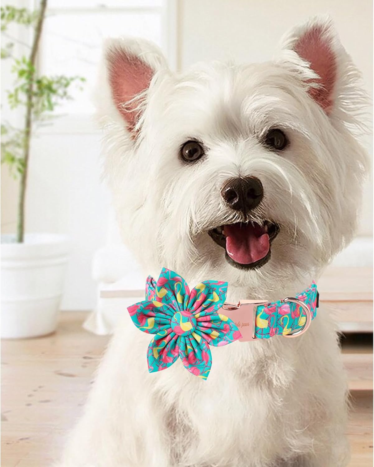 Unique Style Paws Summer Dog Collar with Floral Bow,Flamingo Bow Tie Puppy Collar, Cute Green Dog Bow Collar for Small,Medium,Large Dogs Pets Summer Gifts