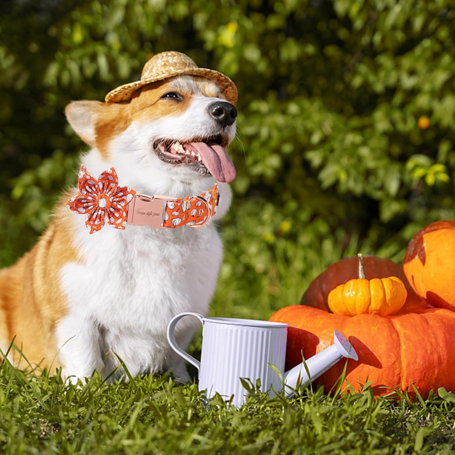Unique Style Paws Halloween Day Dog Collar with Flower Bow Line Pumpkin Cotton Dog Collars for Small Medium Large Dogs