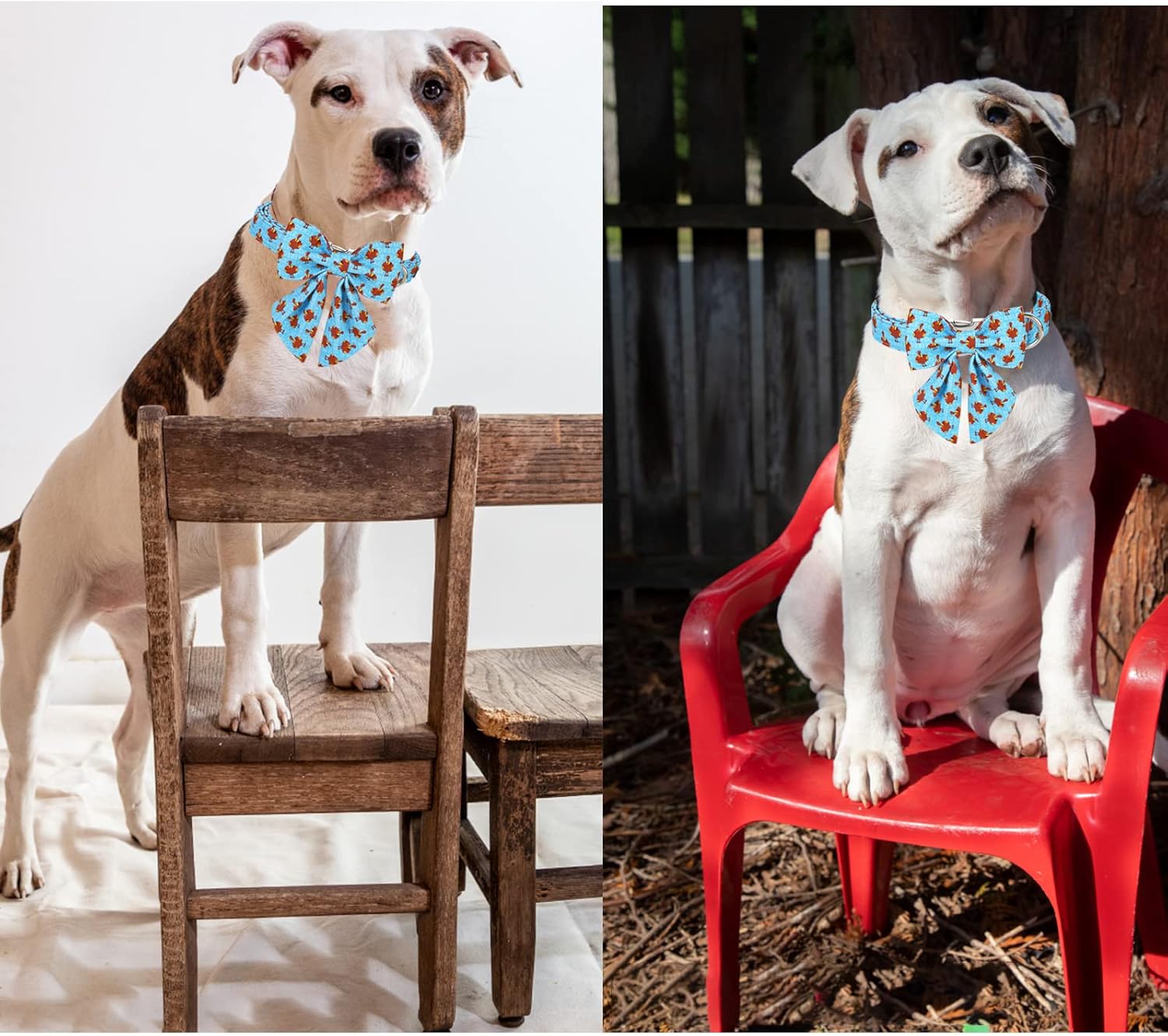 Unique style paws Thanksgiving Dog Collar with Bow Tie Blue Turkey Puppy Collar for Small Medium Large Dogs as Autumn Winter Pet Gifts