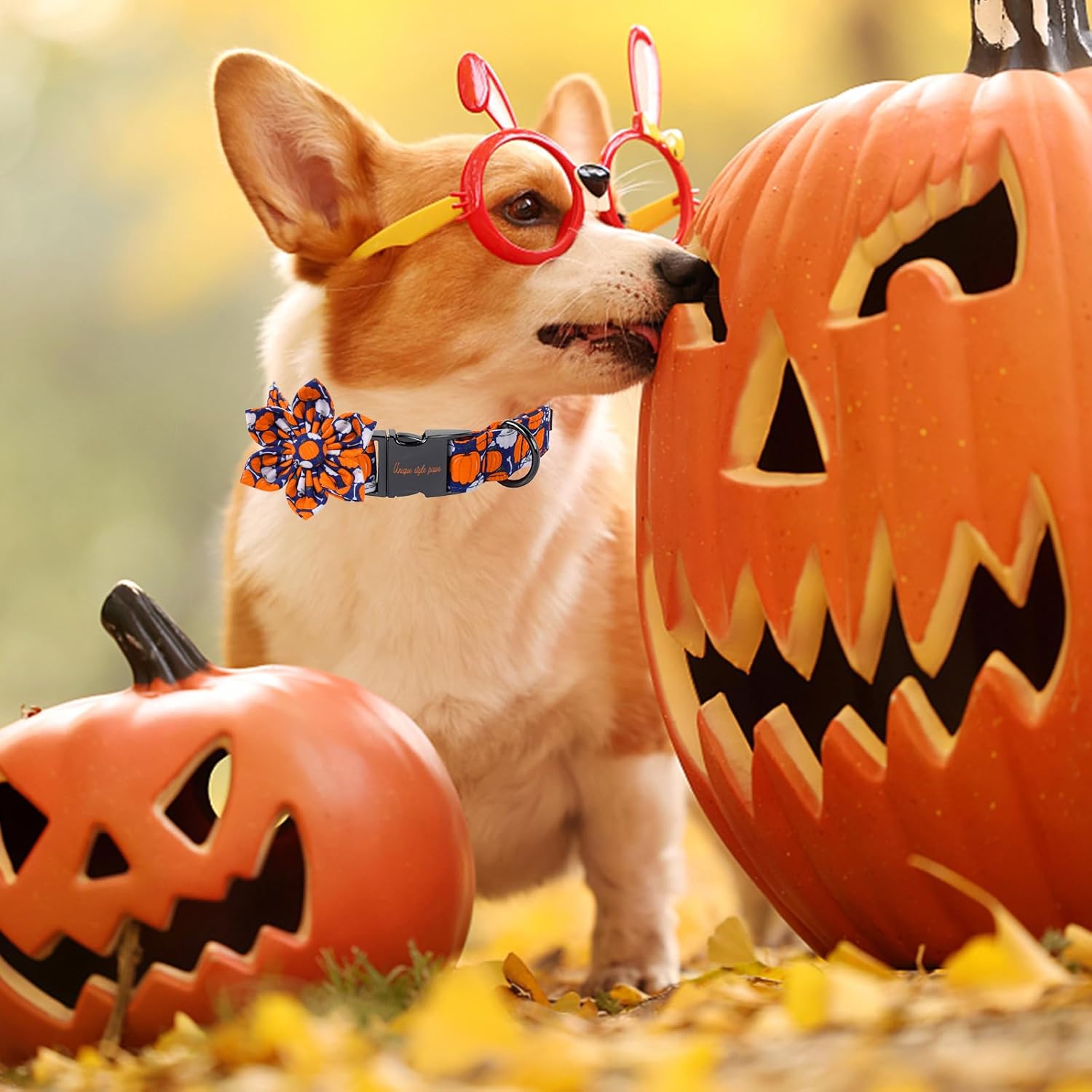 Unique Style Paws Halloween Day Dog Collar with Flower Bow Bone Pumpkin Cotton Dog Collars for Small Medium Large Dogs