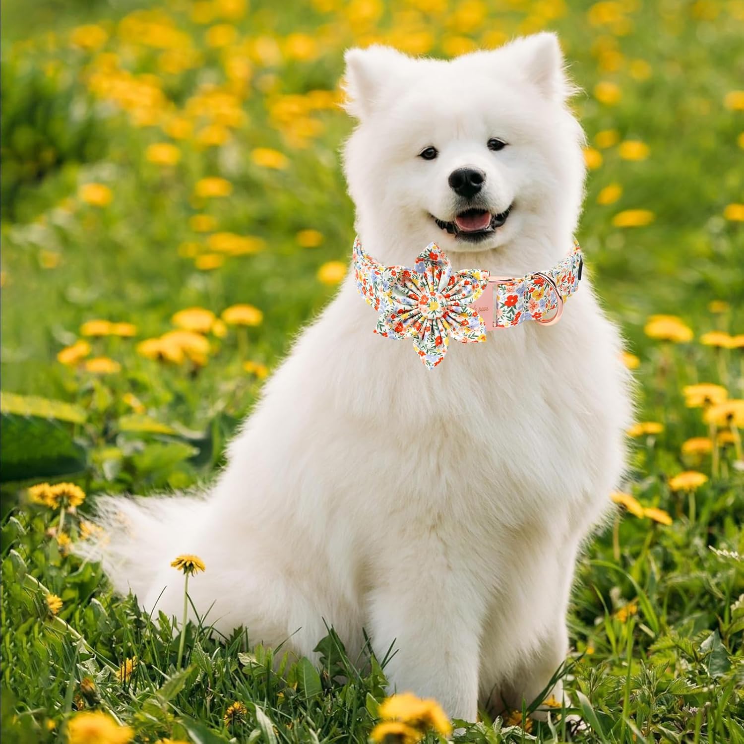Unique Style Paws Summer Dog Collar with Floral Bow,Colorful Bow Tie Puppy Collar,Flower Pattern Dog Bow Collar for Small,Medium,Large Dogs&Cats