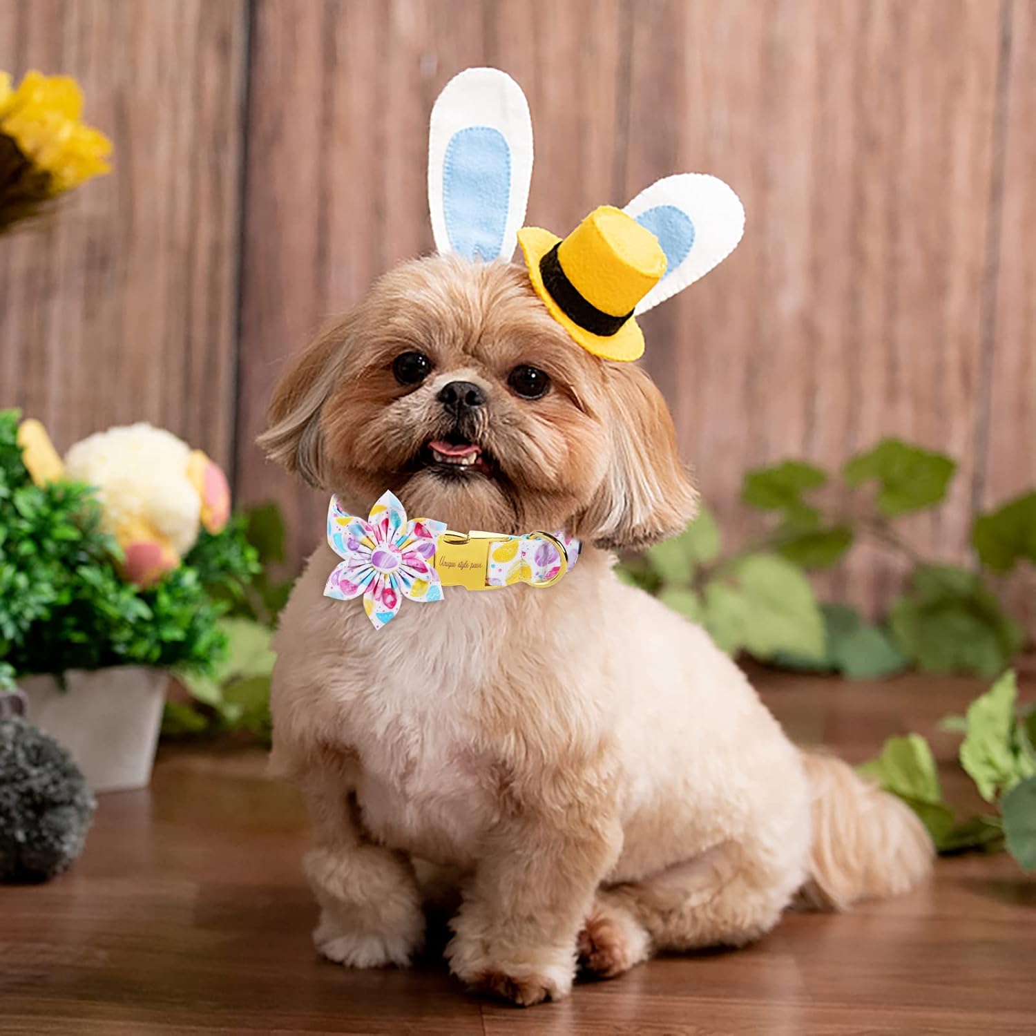 Unique style paws Easter Colorful Egg Dog Collar with Flower Holiday Collar Gift for Small Medium Large Boys Girls Dogs