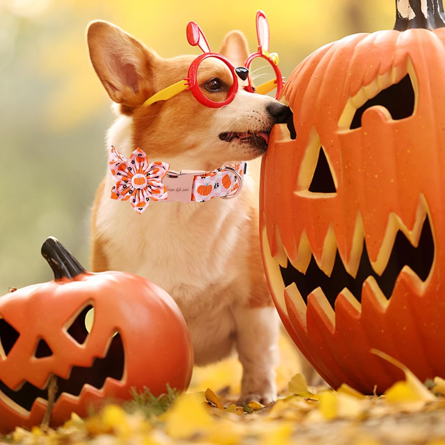 Unique Style Paws Halloween Day Dog Collar with Flower Bow Pink Pumpkin Cotton Dog Collars for Small Medium Large Dogs