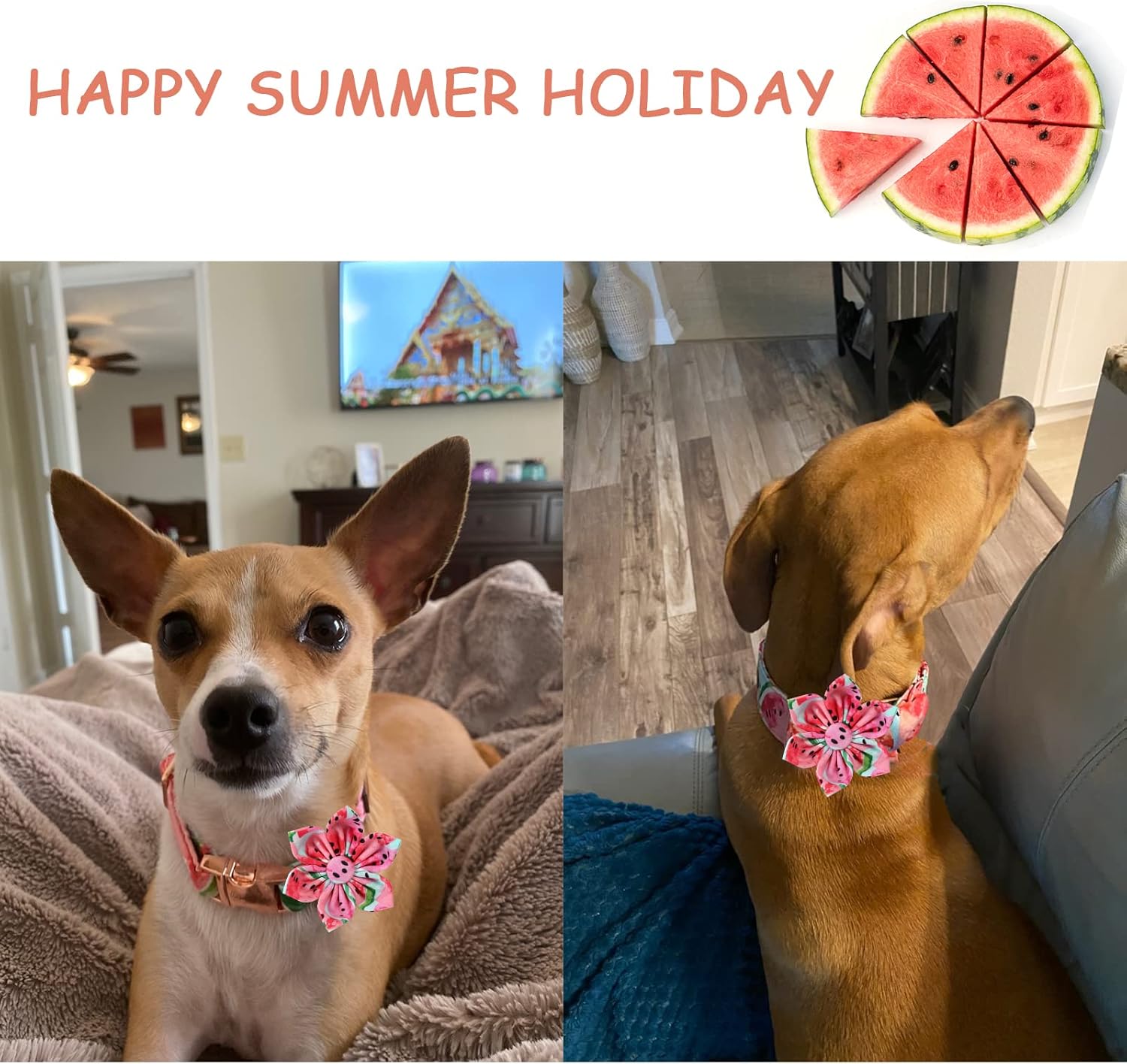Unique style paws Dog Collar with Flower Tie Cotton Watermelon Collar Adjustable Summer Collar for Small Medium Large Dogs - XL