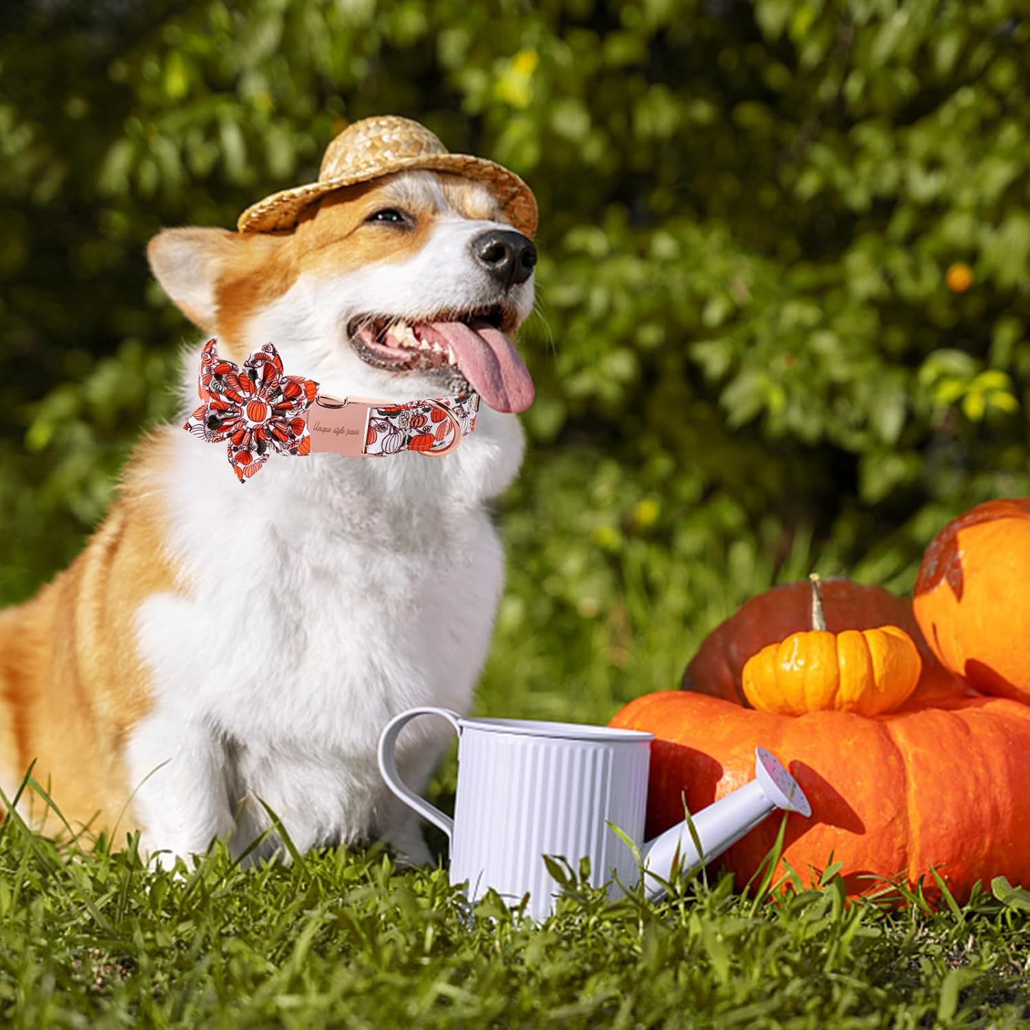 Unique Style Paws Halloween Day Dog Collar with Flower Bow Pumpkin Cotton Dog Collars for Small Medium Large Dogs