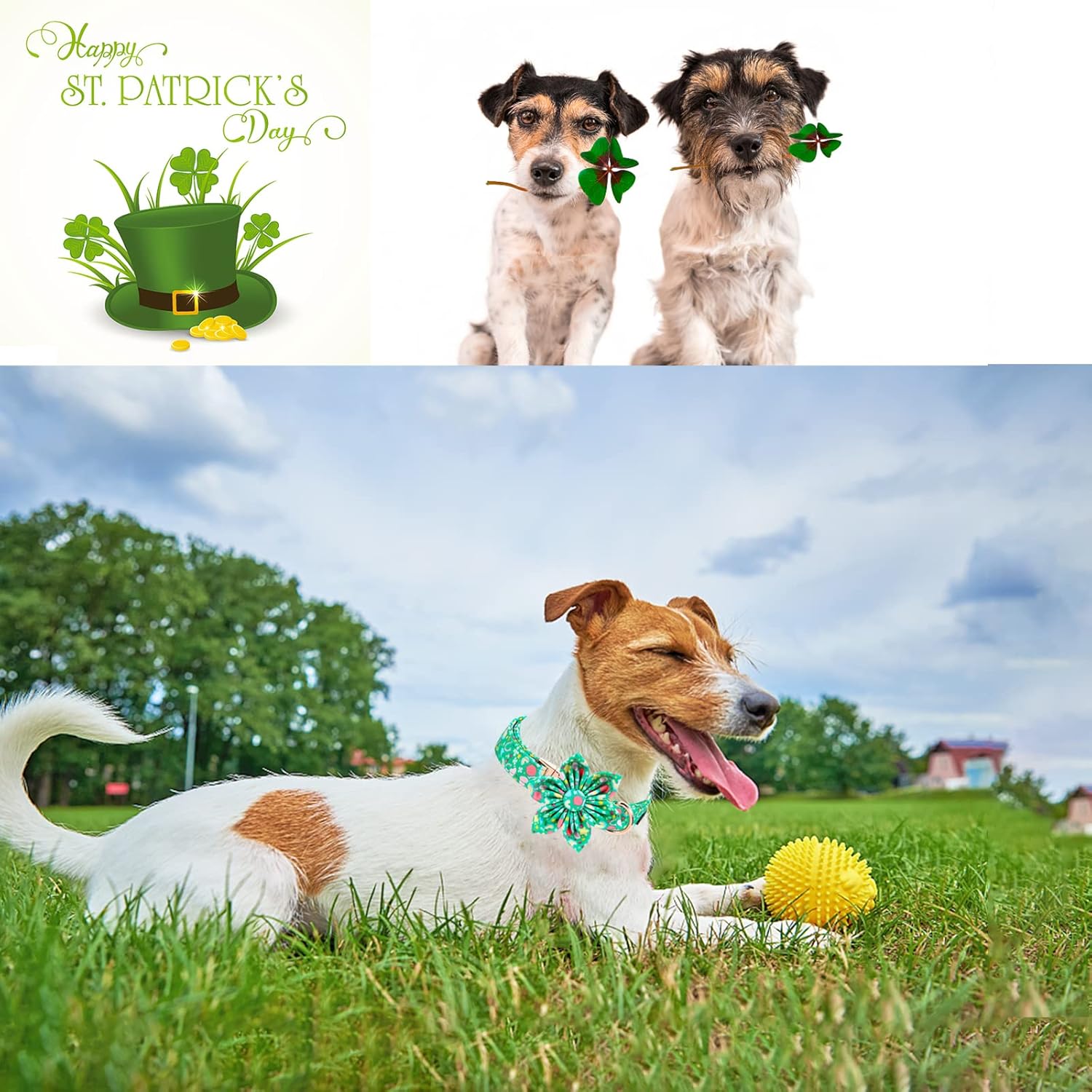 Unique style paws St. Patrick's Day Dog Collar with Flower Tie Rainbow Clover Heart Puppy Collar for Small Medium Large Boys Girls