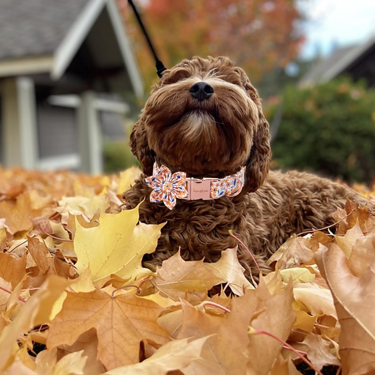 Unique Style Paws Autumn Leaf Collar with Flower Bow Blue Leaf Flower Cotton Dog Collars for Small Medium Large Dogs