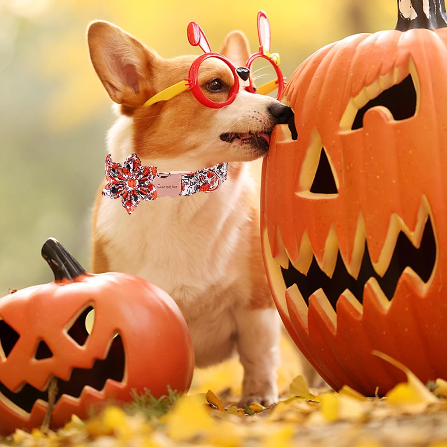 Unique Style Paws Halloween Day Dog Collar with Flower Bow Pumpkin Cotton Dog Collars for Small Medium Large Dogs